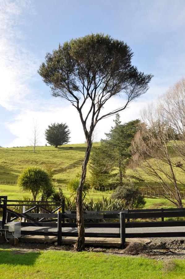 Matapouri & Tutukaka Spectacular Coastal Views- Aroha Luxury Guest Suite מראה חיצוני תמונה