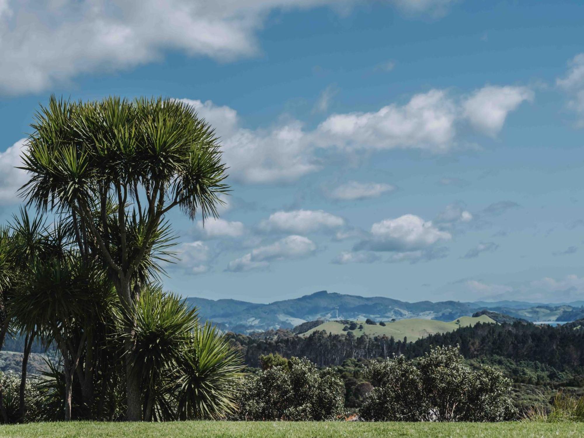 Matapouri & Tutukaka Spectacular Coastal Views- Aroha Luxury Guest Suite מראה חיצוני תמונה